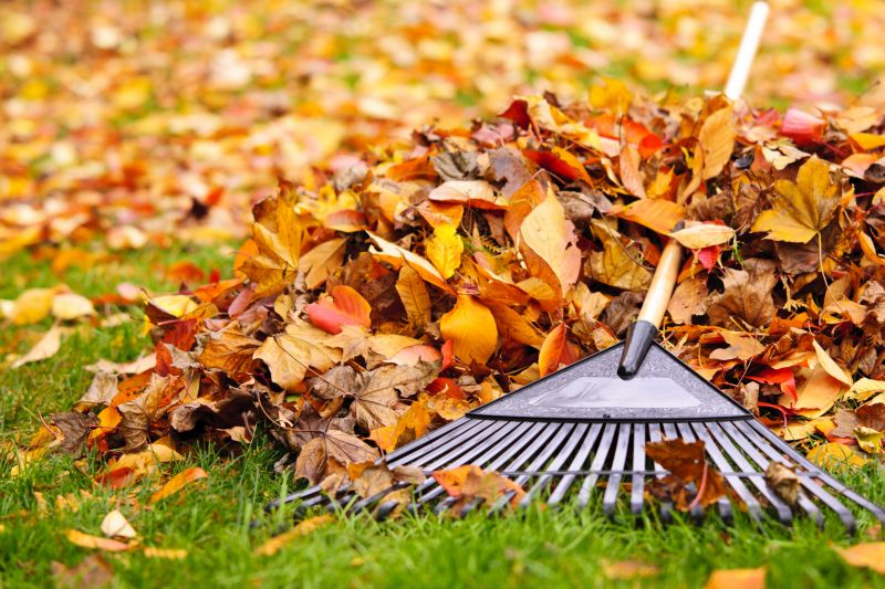 Auburn Fall Landscape Cleanup