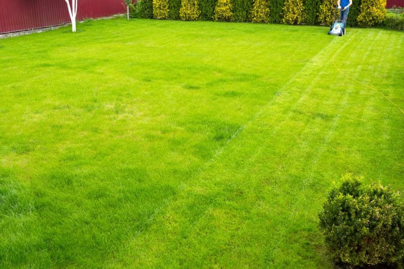 Completed Lawn in Auburn