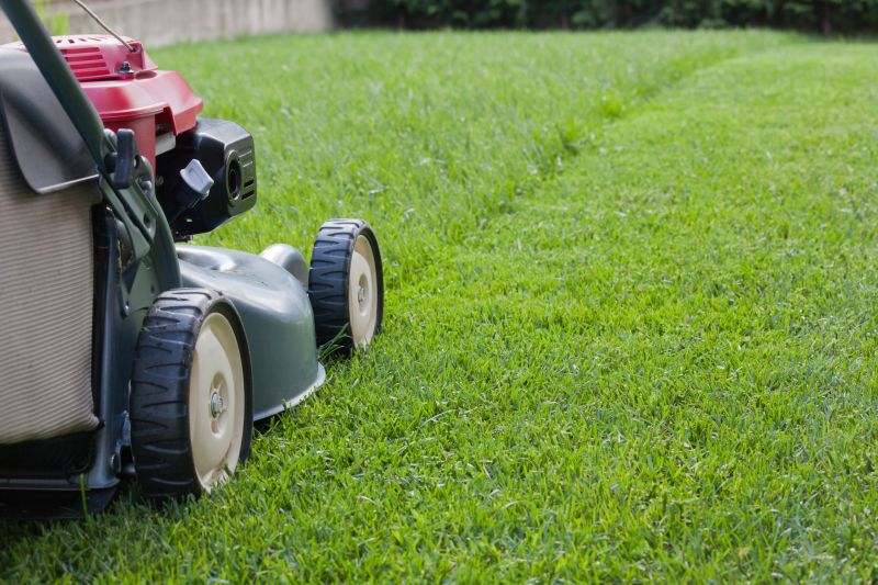 Equipment Used for Lawn Mowing