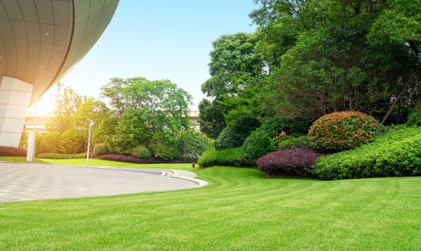 Commercial Lawn Mowing in Auburn