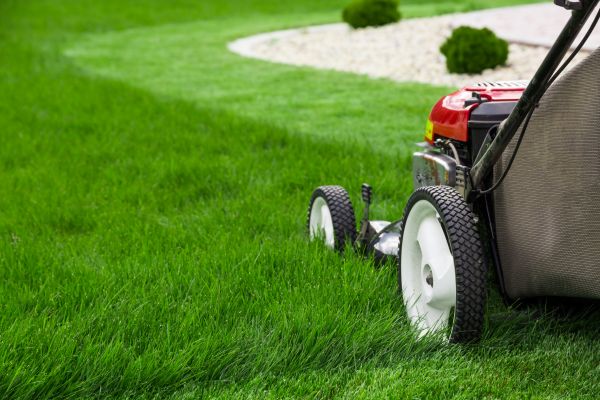 Lawn Cutting Service in Auburn