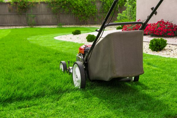 Lawn Mowing in Auburn