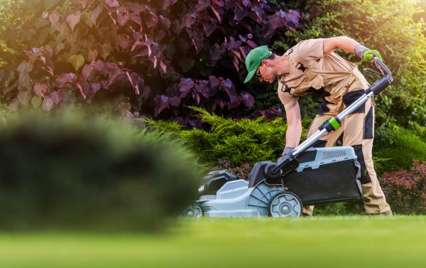 Yard Care Service in Auburn
