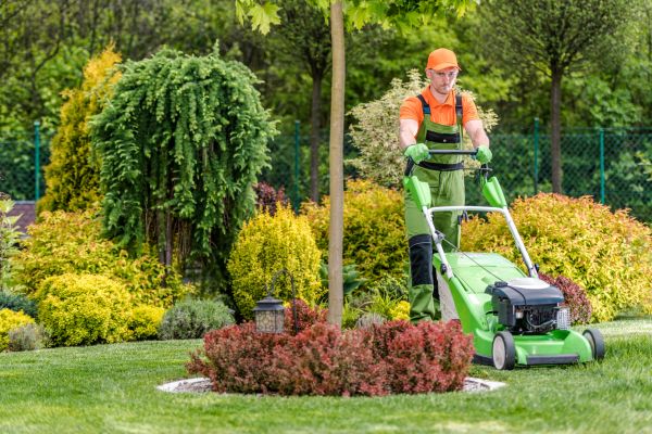 Yard Service in Auburn