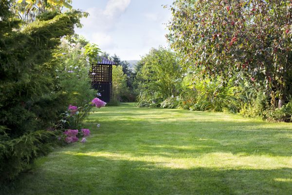 Yard Upkeep Service in Auburn