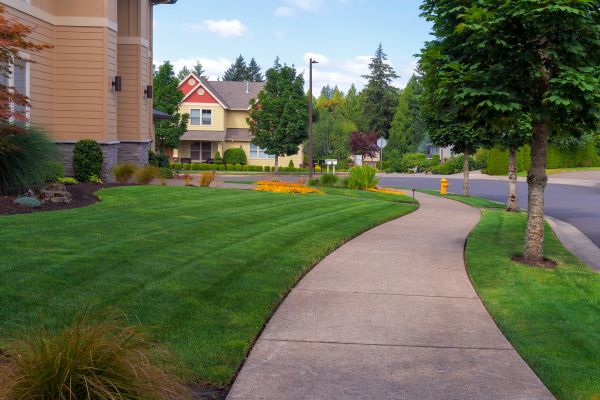 Home Lawn Maintenance in Auburn