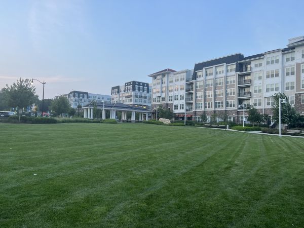 Urban Lawn Care in Auburn