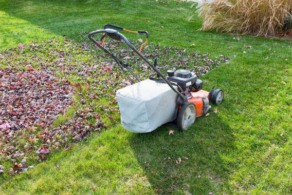 Seasonal Lawn Care in Auburn