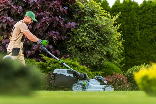 Lawn Management in Auburn