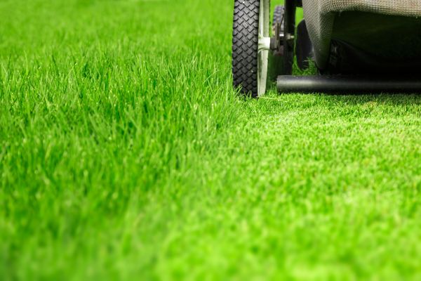 Weekly Lawn Care in Auburn