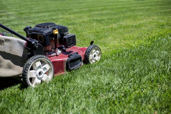Routine Lawn Care in Auburn