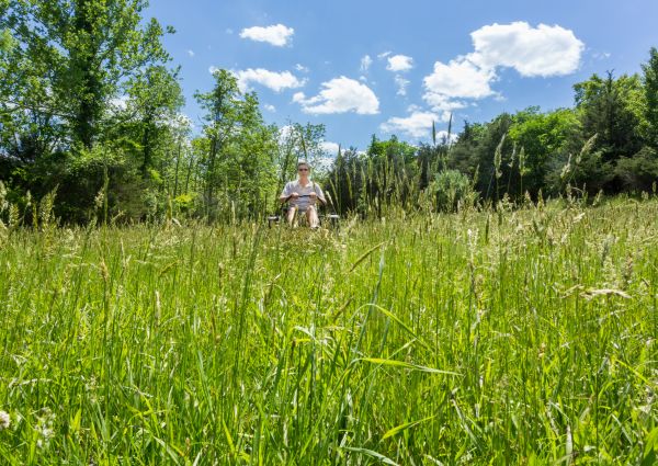 Long Grass Mowing in Auburn