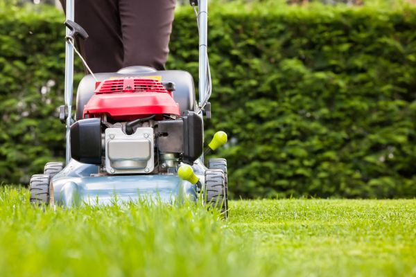 Grass Trimming Service in Auburn