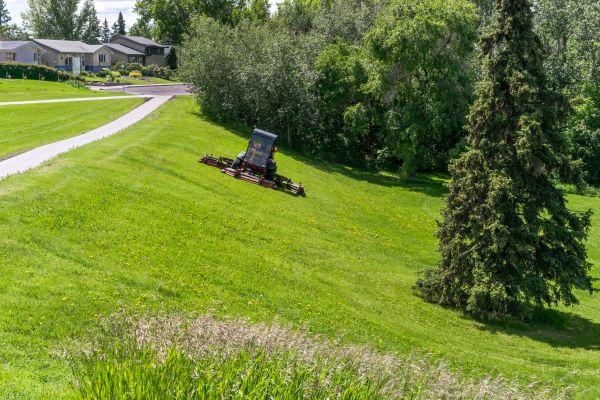 Hill Mowing in Auburn