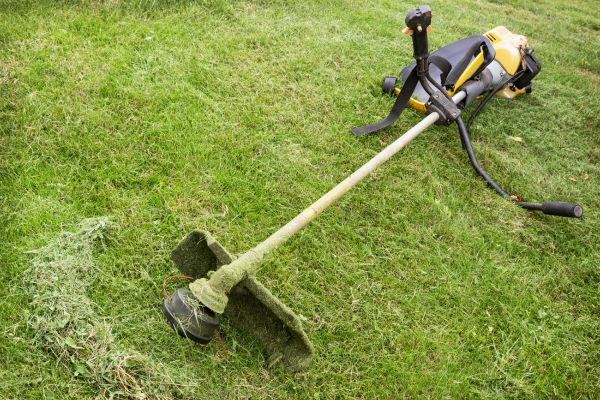 Hillside Weed Whacking in Auburn