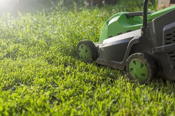 Yard Trimming in Auburn