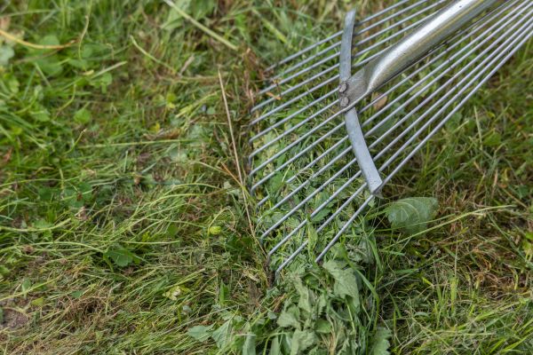 Thatch Raking in Auburn