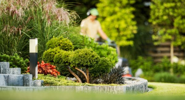 Residential Yard Maintenance in Auburn
