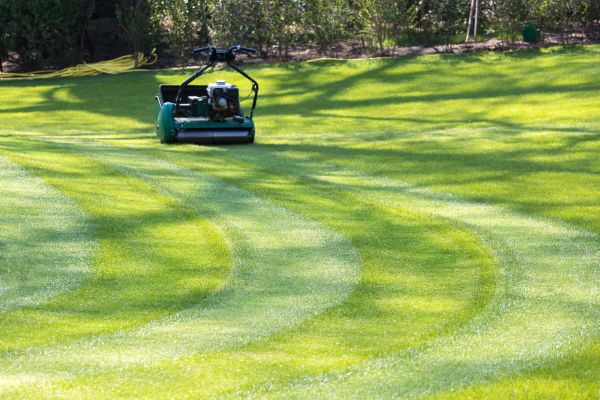 Business Lawn Mowing in Auburn