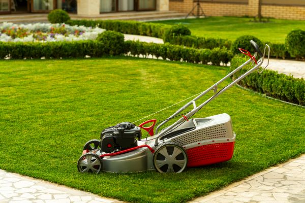 Business Grass Cutting in Auburn