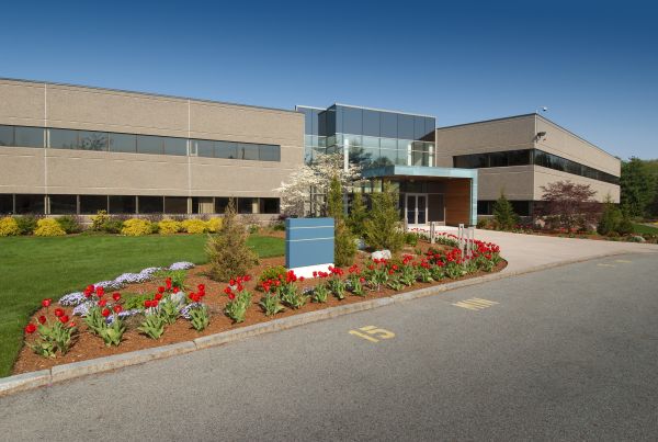 Commercial Groundskeeping in Auburn