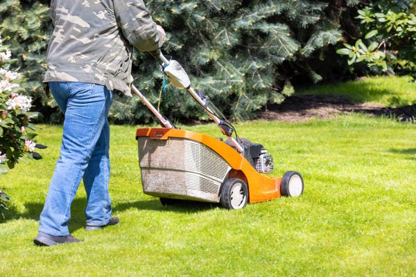 Springtime Lawn Care in Auburn