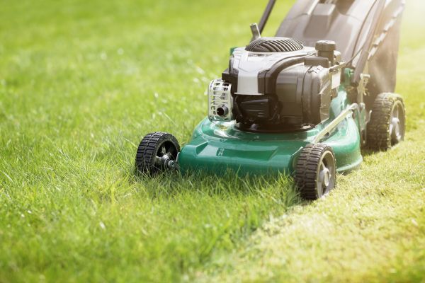 Spring Grass Trimming in Auburn