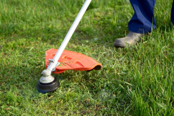 Lawn Weed Whacking in Auburn
