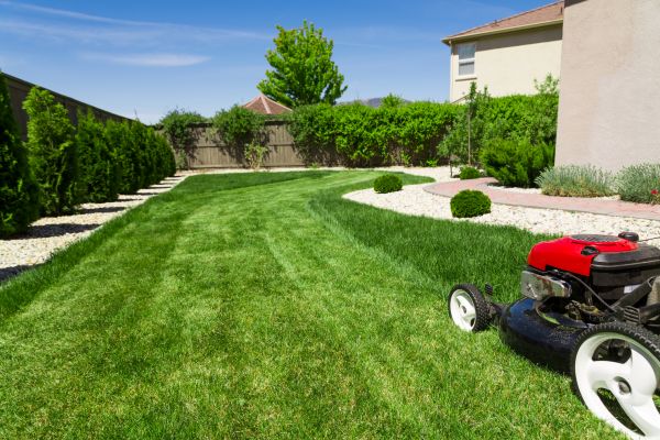 Residential Lawn Mowing in Auburn